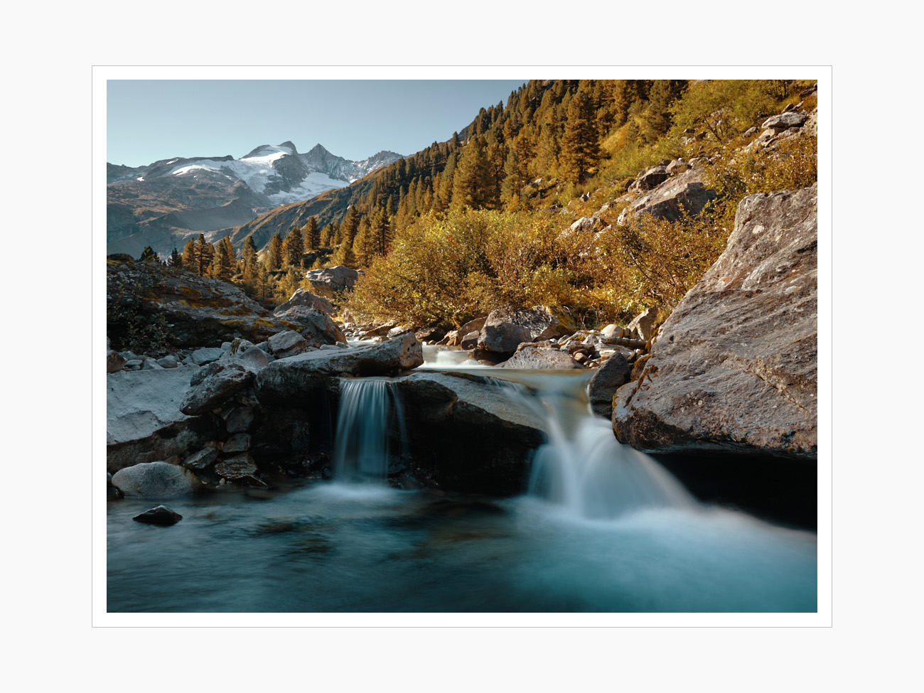 Max Schiefele Alle Bilder  DSF2032